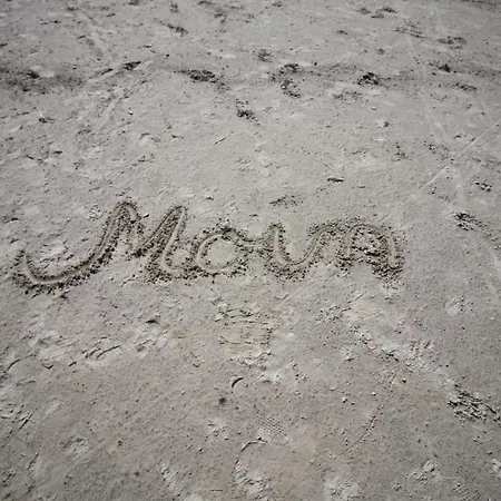 Dom wakacyjny Seefalken 21 Norddeich (Norden)